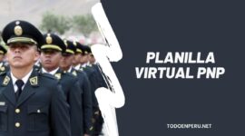 Planilla virtual PNP: Cómo acceder y utilizar la plataforma